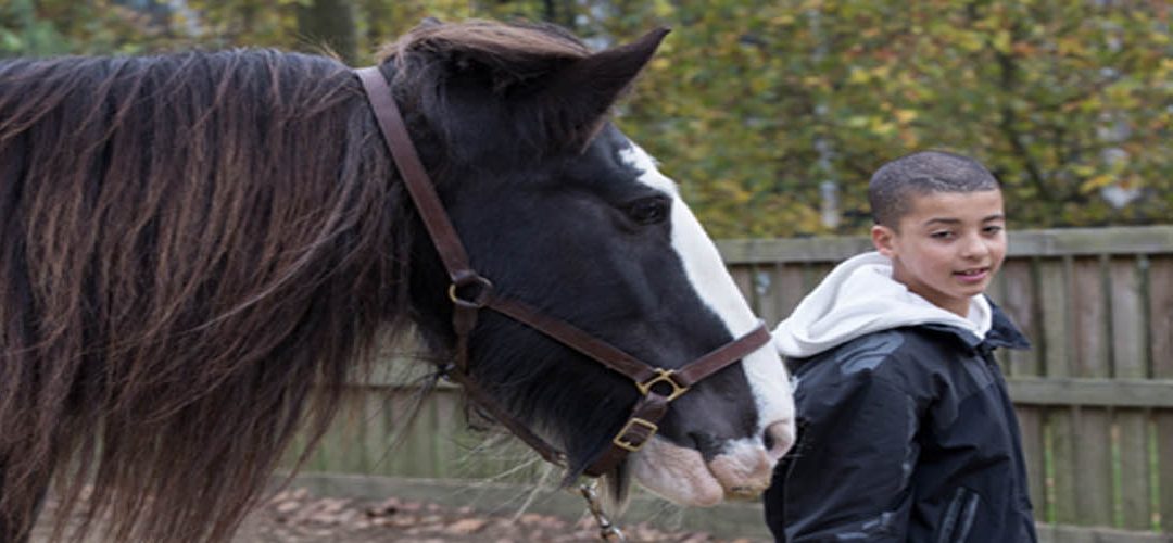 Royal Parks Foundation, Real Horse Power