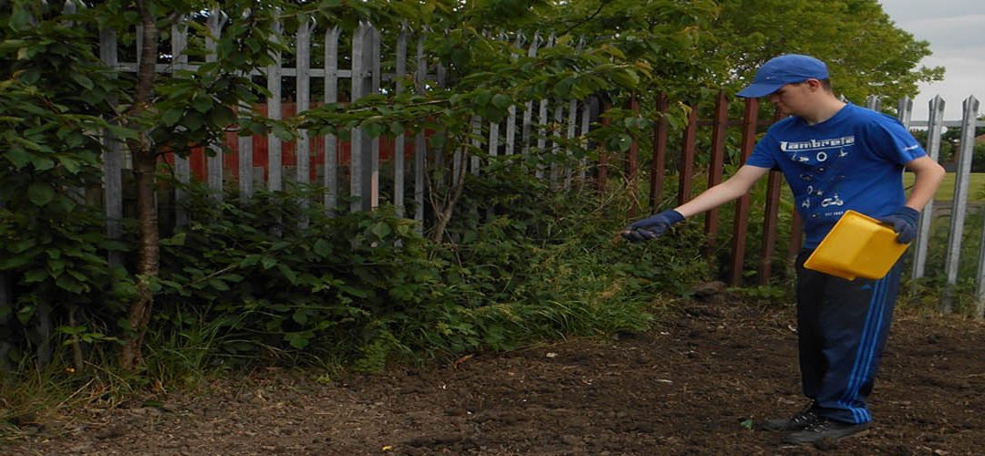 Scotswood Natural Community Garden, Branching Out