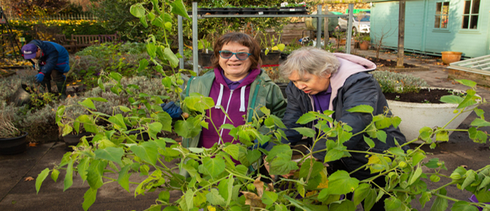 Using Gardening to Improve Mental and Physical Wellbeing