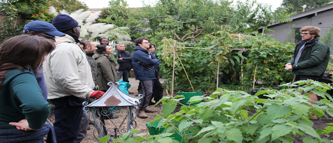 Walworth Gardens – Horticultural Training