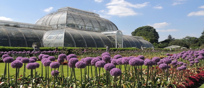 Kew Gardens Launch School Travel Bursary Scheme