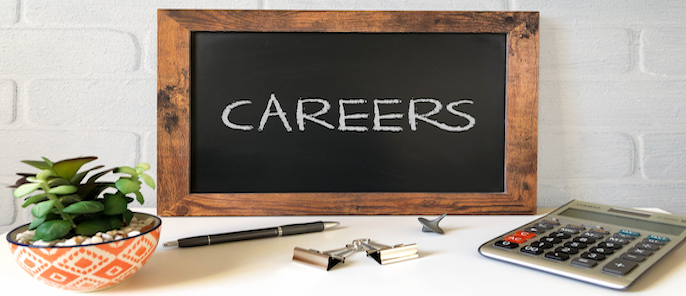 Personalised career coaching sessions