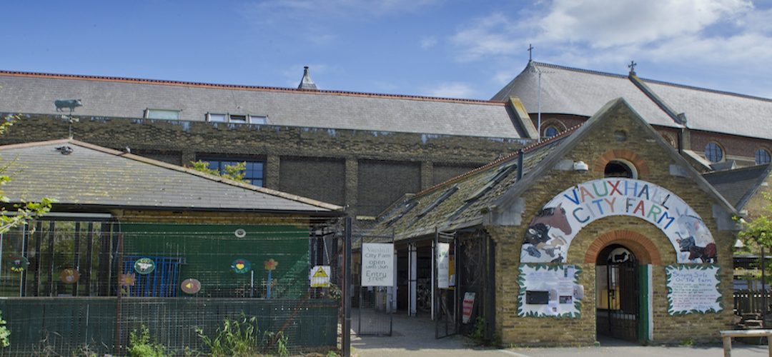 Vauxhall City Farm