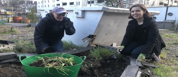 Engaging Somers Town residents with local green spaces