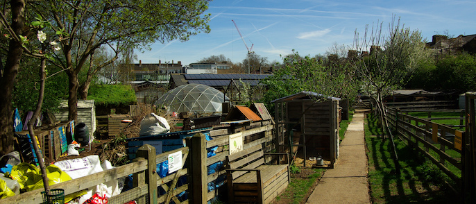 Hands-on activities at the farm for thousands of visitors