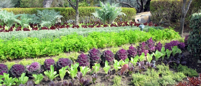 Garden-based activities to benefit the local community