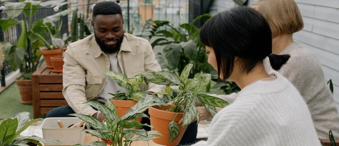 Creating a thriving ecological garden in the Kings Cross area